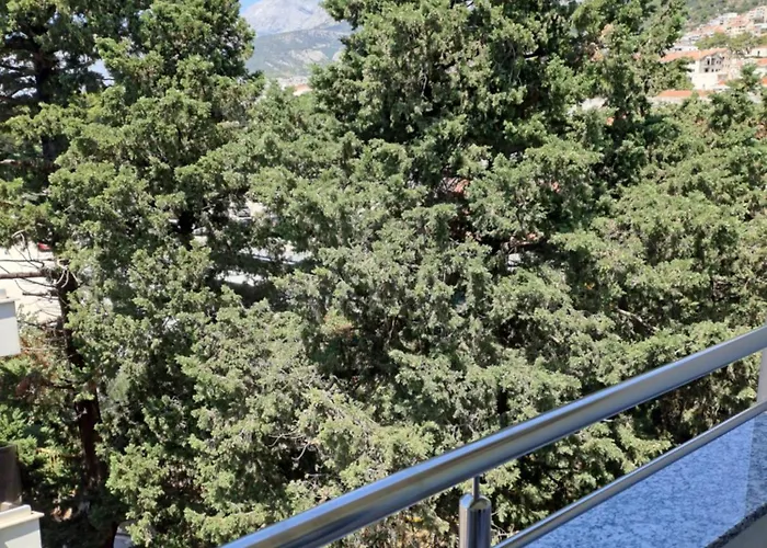 Matea Daire Makarska